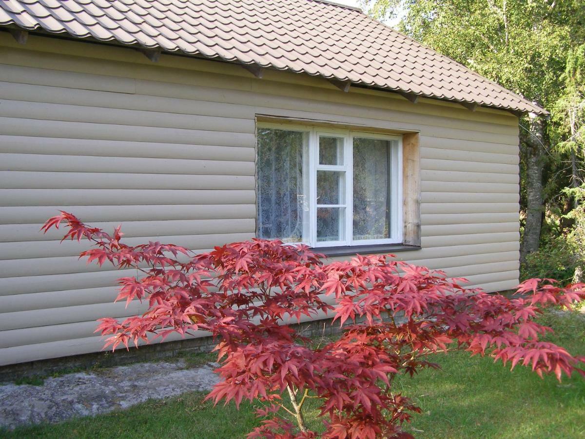 Kipi-Koovi Holiday Centre 外观 照片